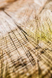 Similar image 2903942