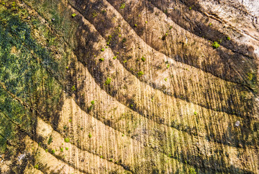 Similar image 2903943