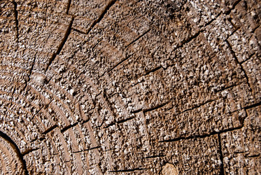 Similar image 2903945