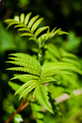 Similar image 2903946