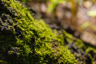 Similar image 2903948