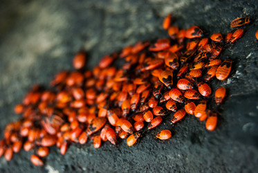 Similar image 2903951