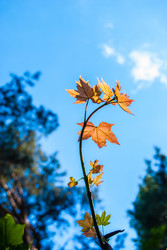 Similar image 2903953