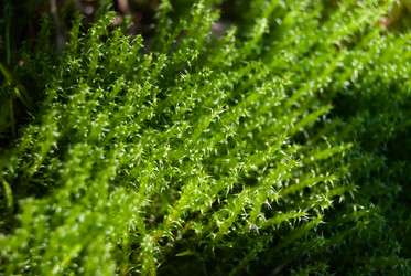 Similar image 2903954