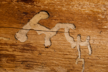 Similar image 2903955