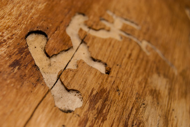 Similar image 2903956