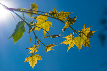 Similar image 2903957