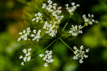 Similar image 2903959