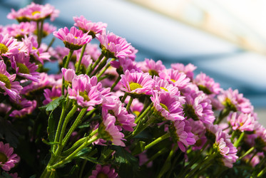 Similar image 2903963