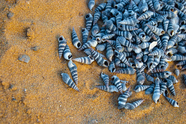 Similar image 2903968