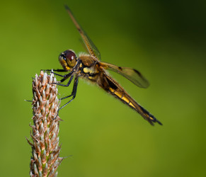 Similar image 2903973