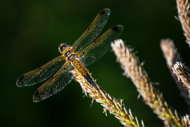 Similar image 2903974