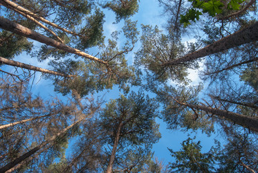 Similar image 2903975