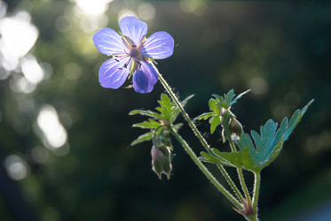 Similar image 2903976