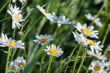 Similar image 2903990