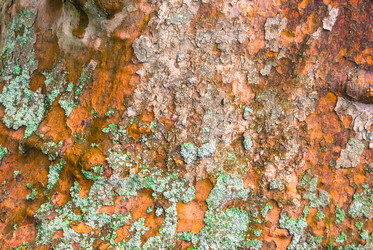 Similar image 2903996