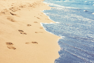 Similar image 2904002