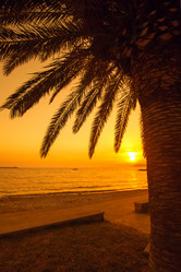 Similar image 2904014