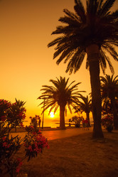 Similar image 2904015