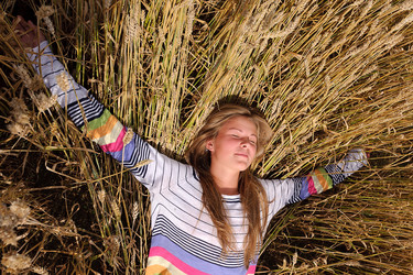 Similar image 2904022