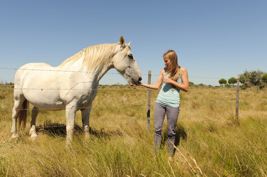 Similar image 2904047