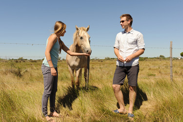 Similar image 2904049