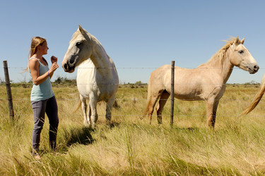 Similar image 2904058