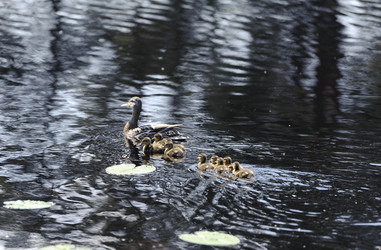 Similar image 2904115