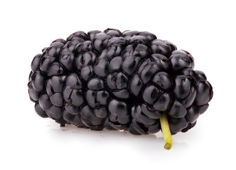 Similar image 2904124