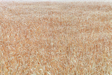 Similar image 2904125