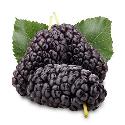 Similar image 2904128