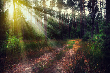 Similar image 2904133