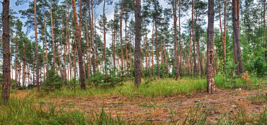 Similar image 2904134