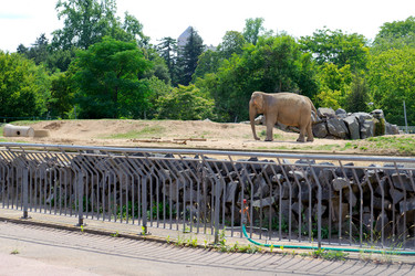 Similar image 2904139