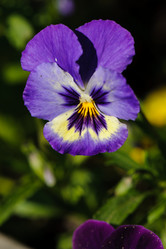 Similar image 2904143