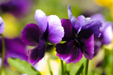 Similar image 2904144