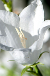 Similar image 2904148