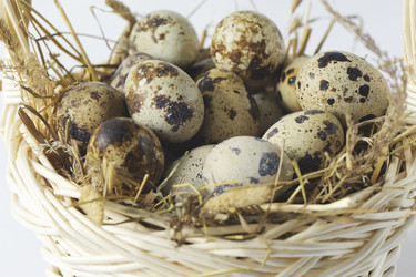 Similar image 2904149