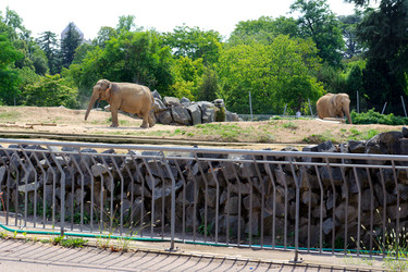 Similar image 2904150