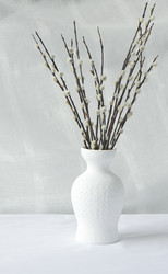 Similar image 2904155