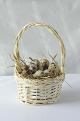 Similar image 2904156