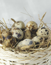 Similar image 2904157