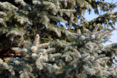 Similar image 2904500