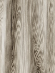 Similar image 2904969