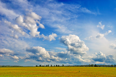 Similar image 2904975