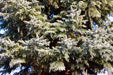 Similar image 2905218