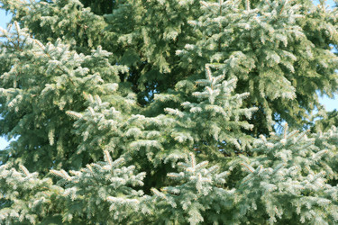 Similar image 2905220