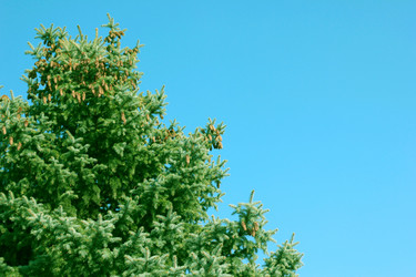 Similar image 2905221