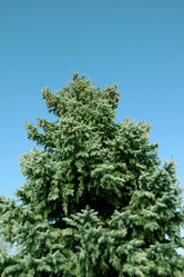 Similar image 2905222