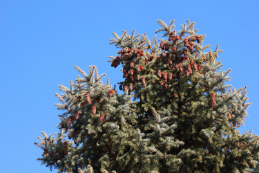 Similar image 2905224